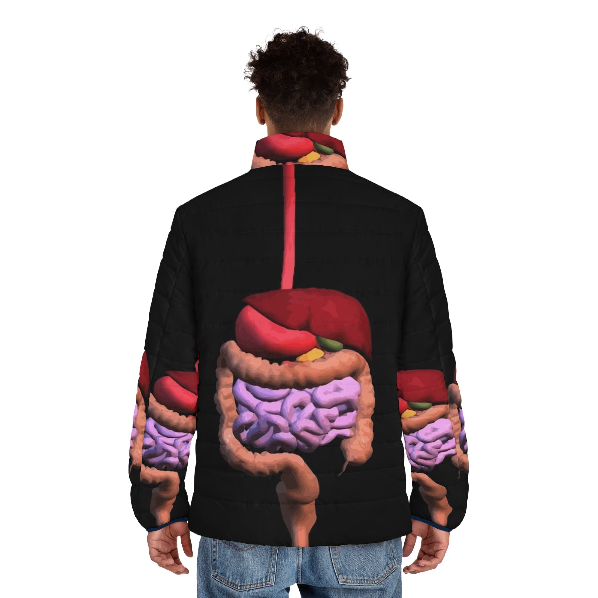 Eco-friendly puffer jacket featuring a transparent anatomical design of the human digestive system - men back