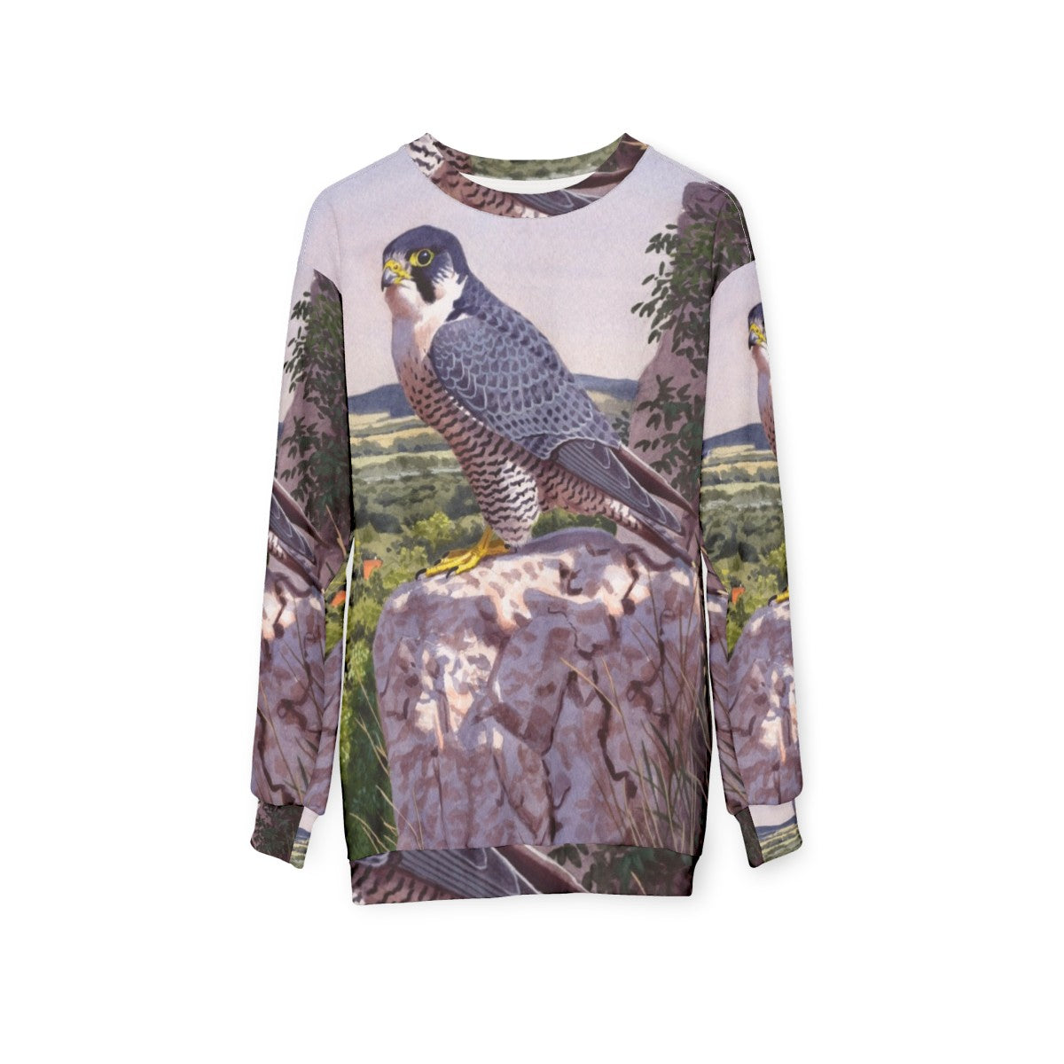 Peregrine falcon inspired sweatshirt with bird art - hanging