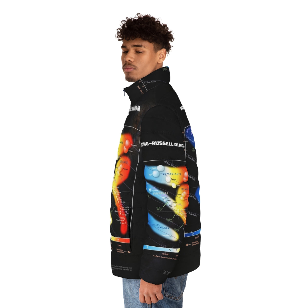 Hertzsprung Russell Diagram Astronomy Puffer Jacket featuring a cosmic infographic design - men side left