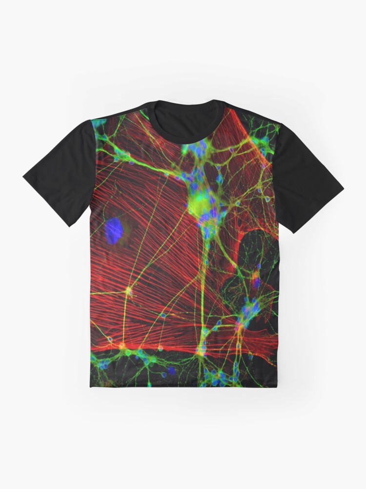 Psychedelic graphic design featuring interconnected neurons and synapses, representing the human brain and consciousness. - Flat lay