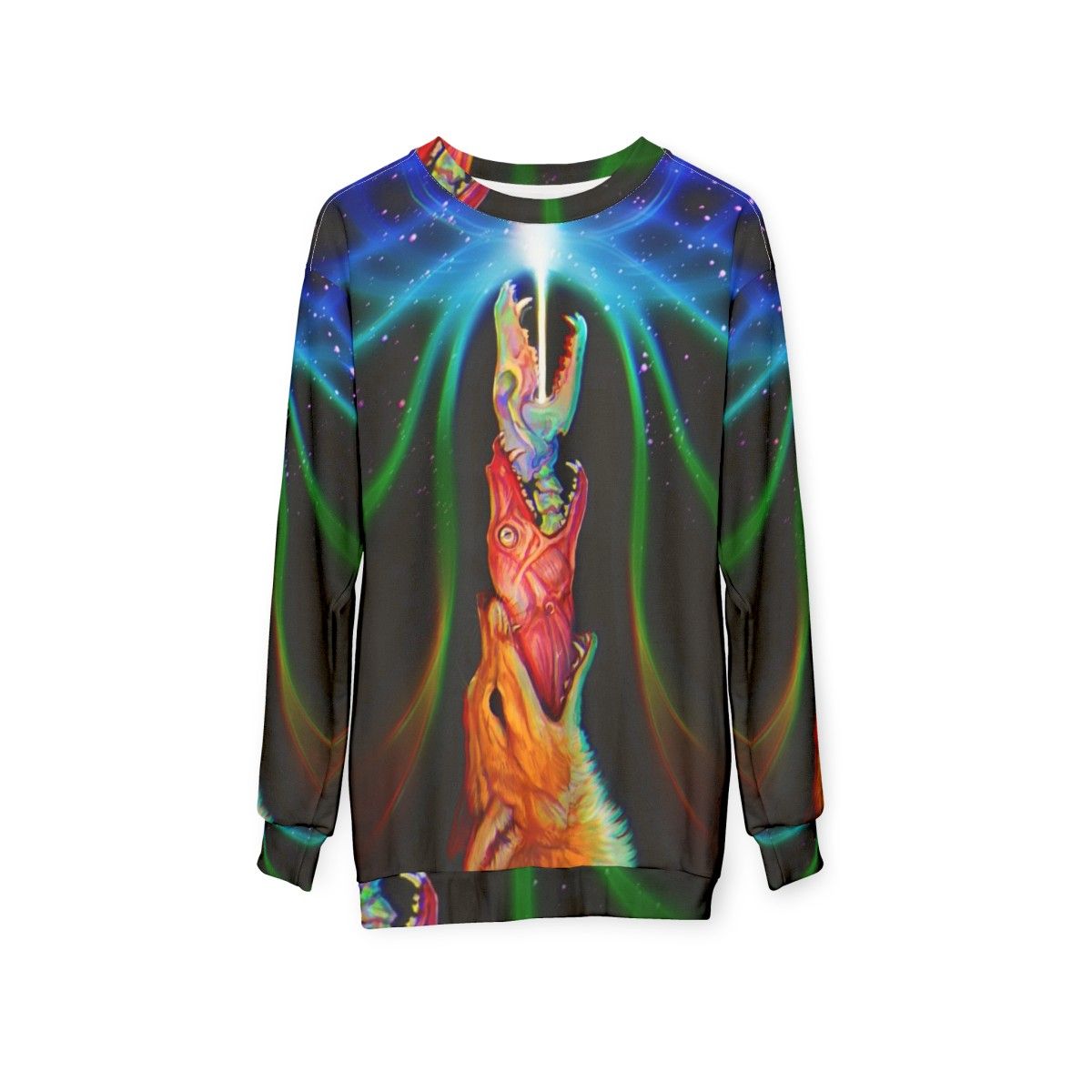 Psychedelic sweatshirt with nature and occult imagery - hanging