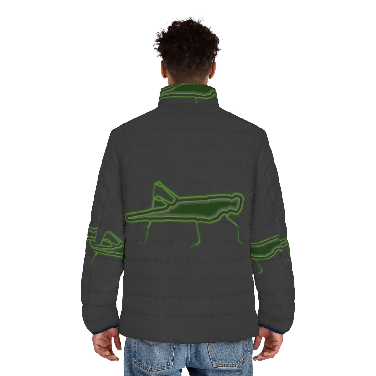 Colorful puffer jacket featuring a grasshopper design representing legendary animals - men back