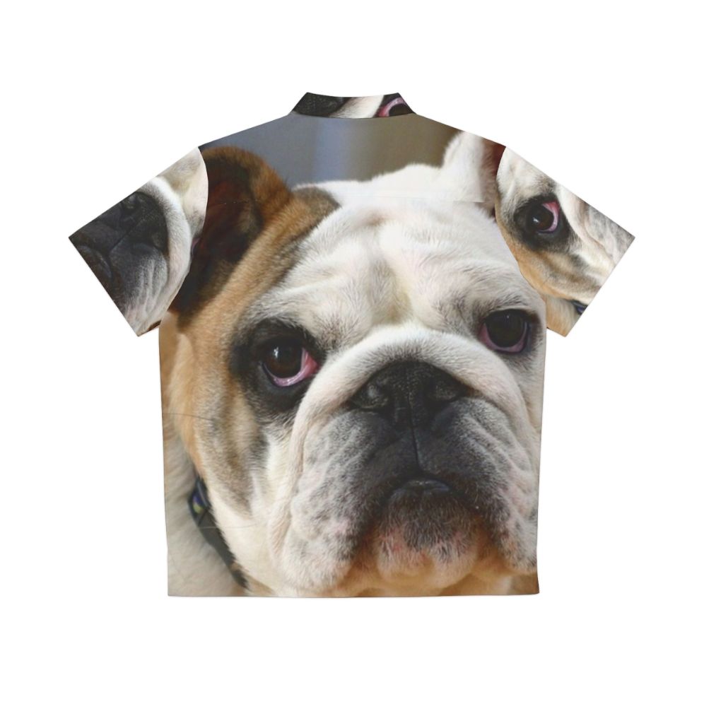 English Bulldog wearing a vibrant Hawaiian-style shirt - Back