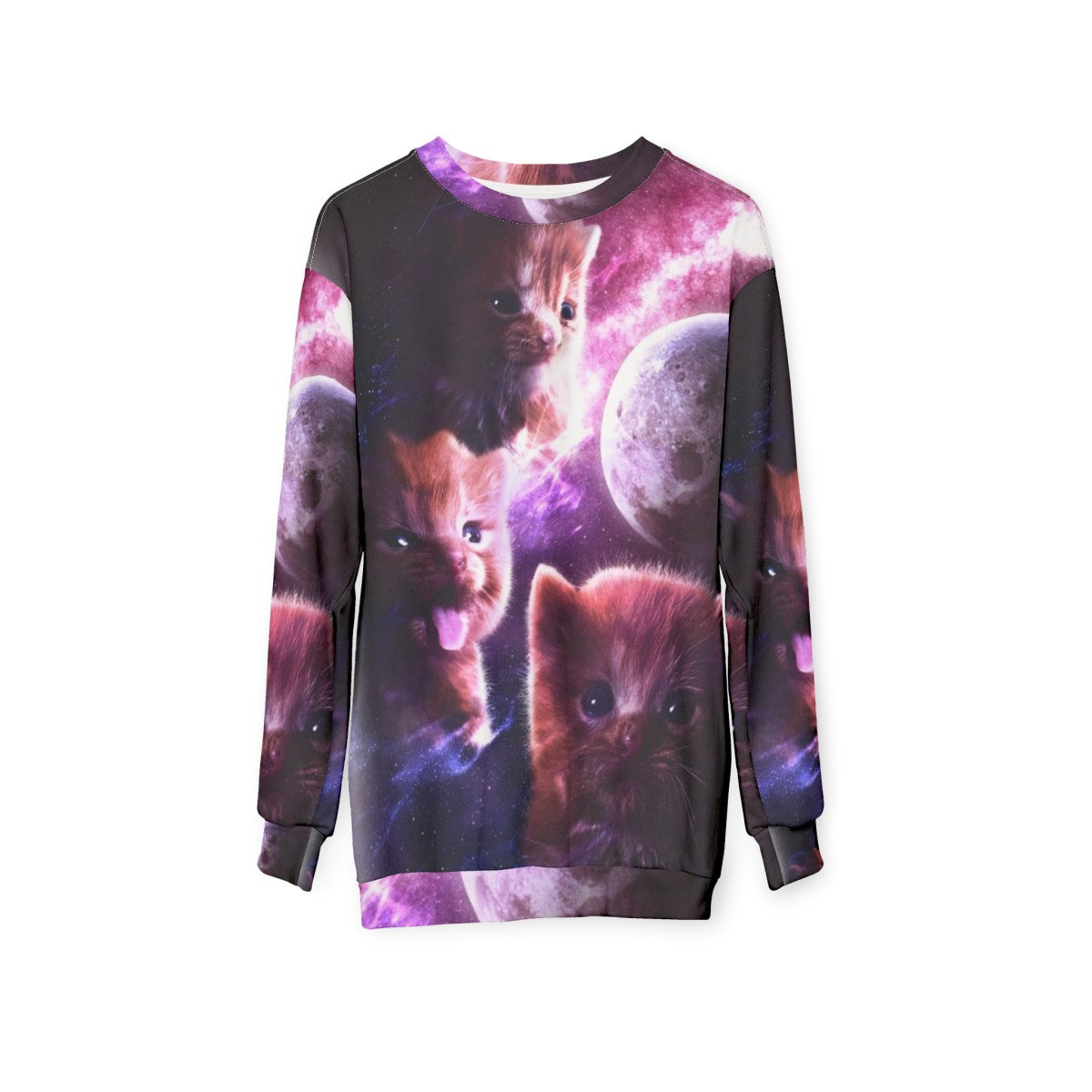 Delinquent Moon Cat & Kitten Sweatshirt - hanging