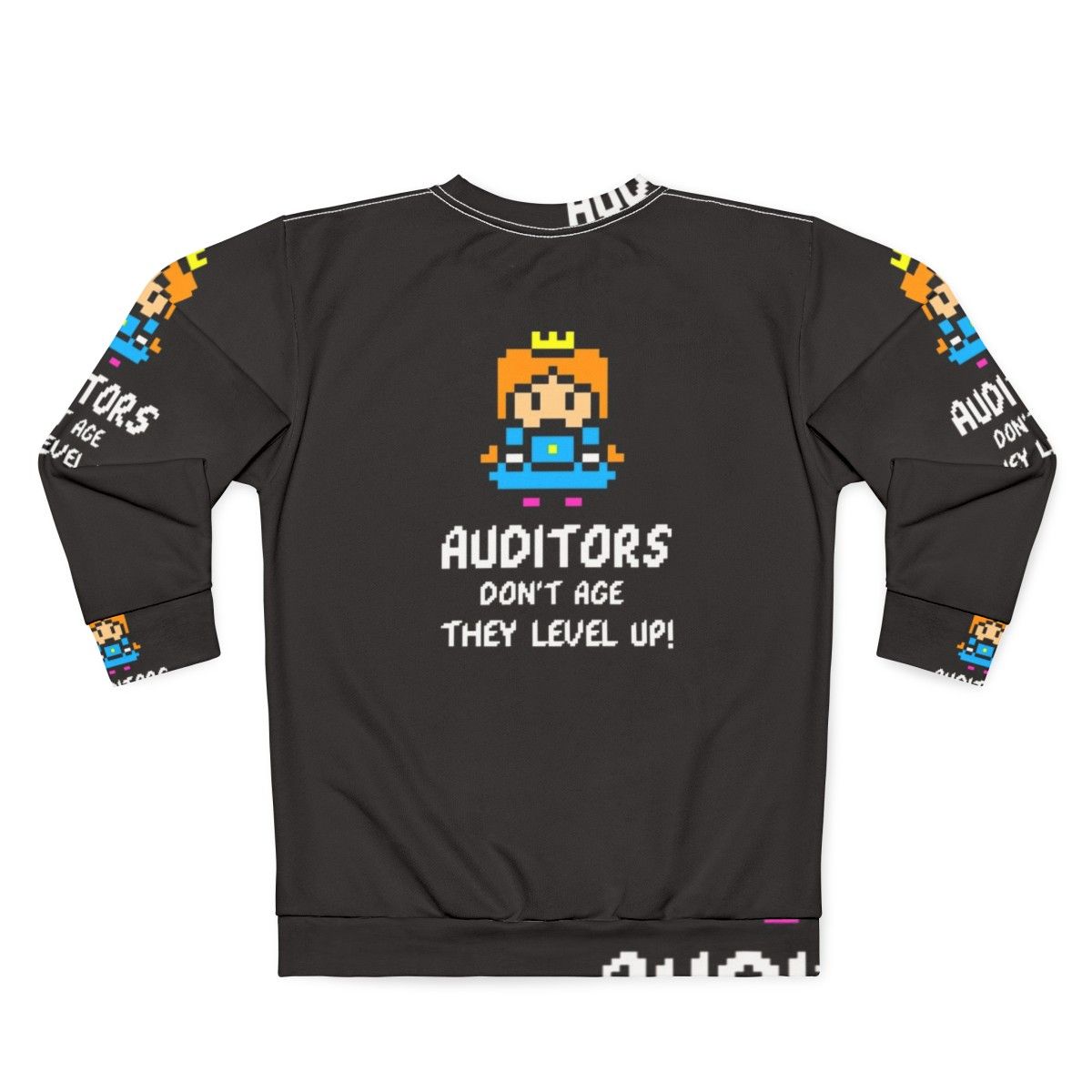 Auditor's Leveled Up Accounting Sweatshirt - Back