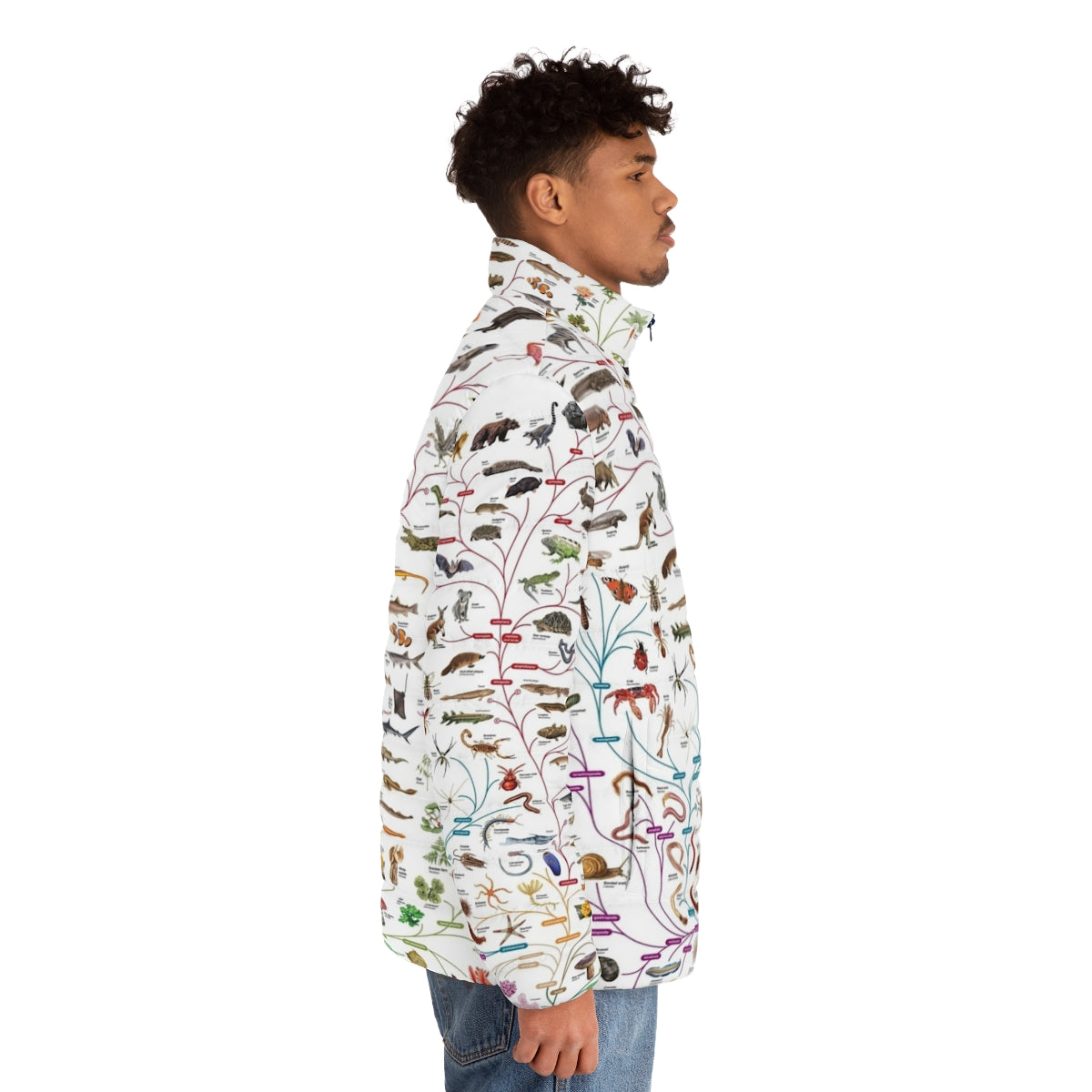 Puffer jacket featuring a design of the Darwinian tree of life representing evolution and biodiversity - men side right