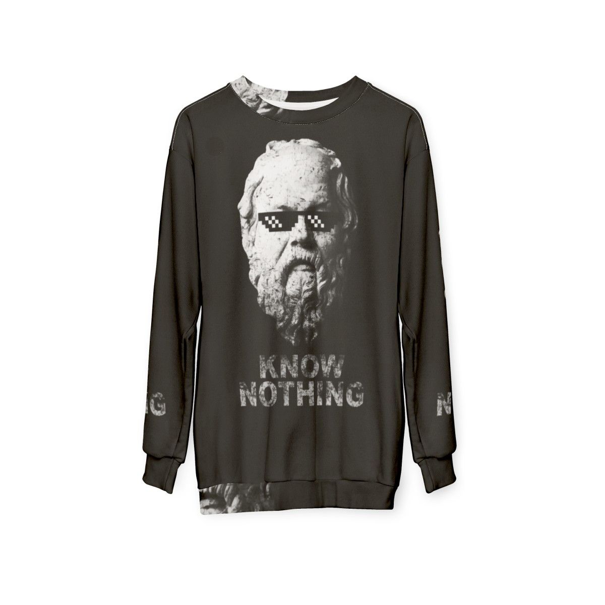 "Know Nothing" Socratic Philosophy Sweatshirt - hanging