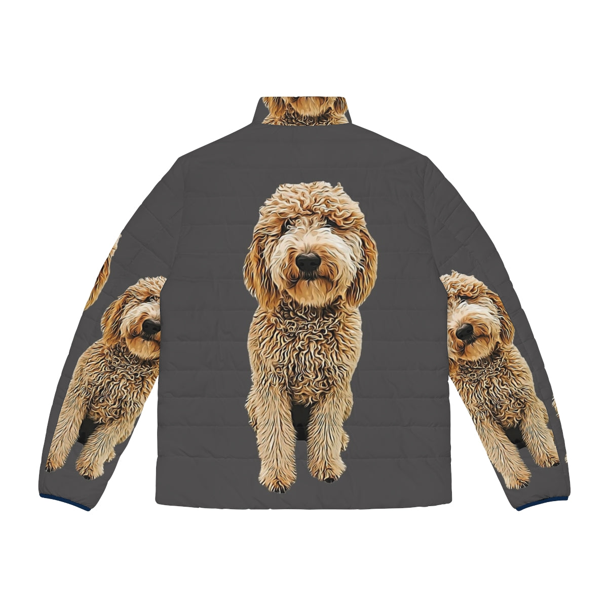 Goldendoodle and Labradoodle wearing a puffer jacket - Back