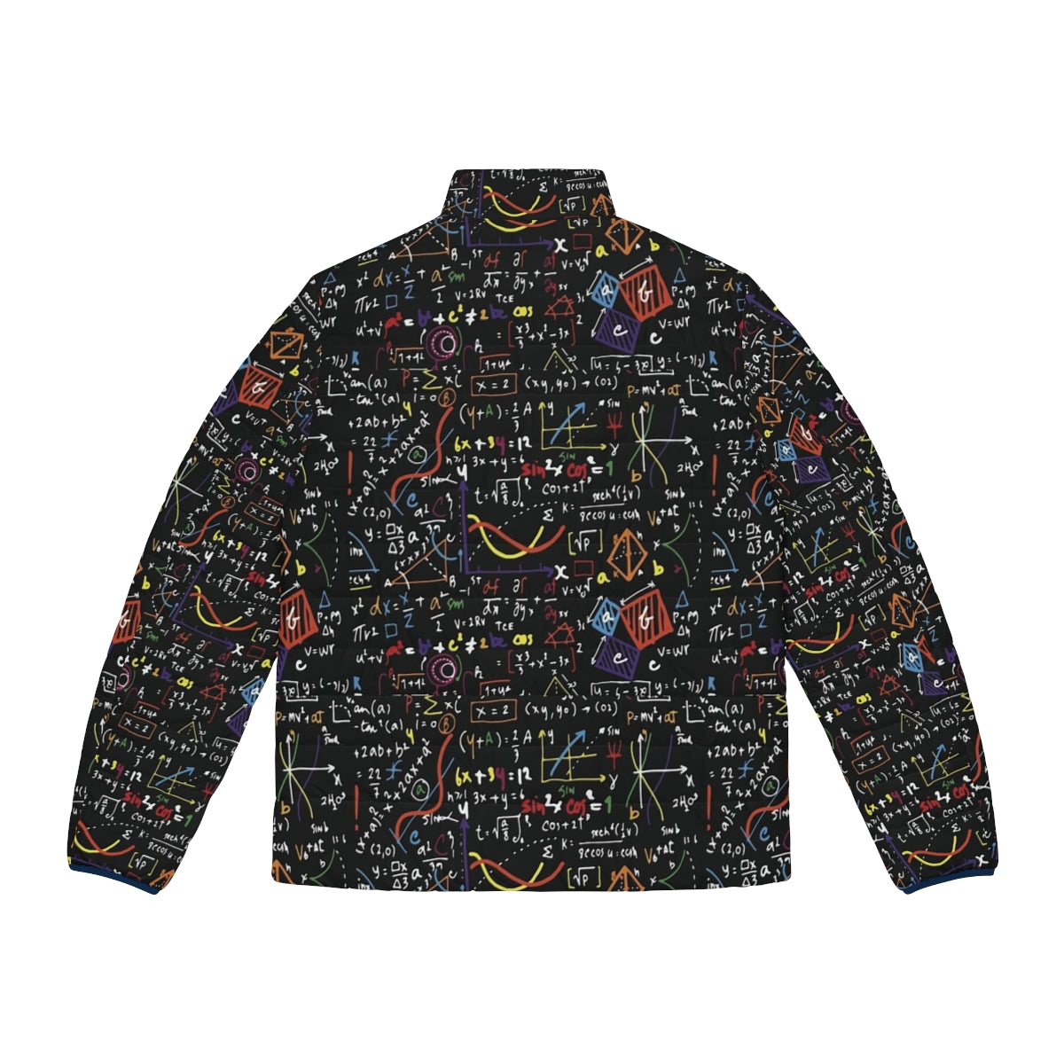 Puffer jacket with math equations, formulas, and symbols printed on it - Back