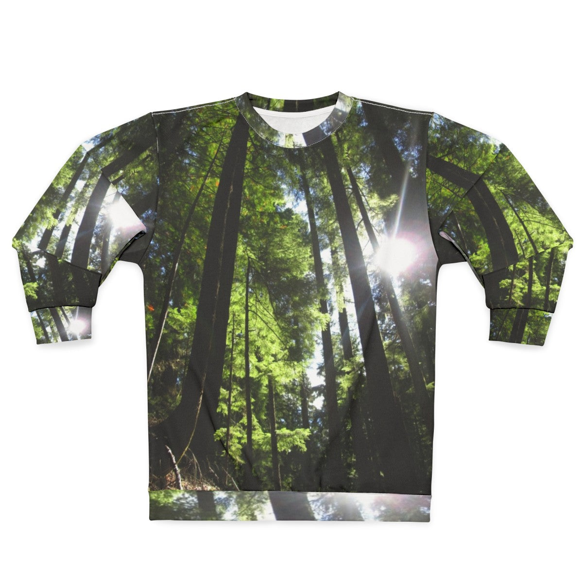 Sunlit fir trees sweatshirt for outdoor activities