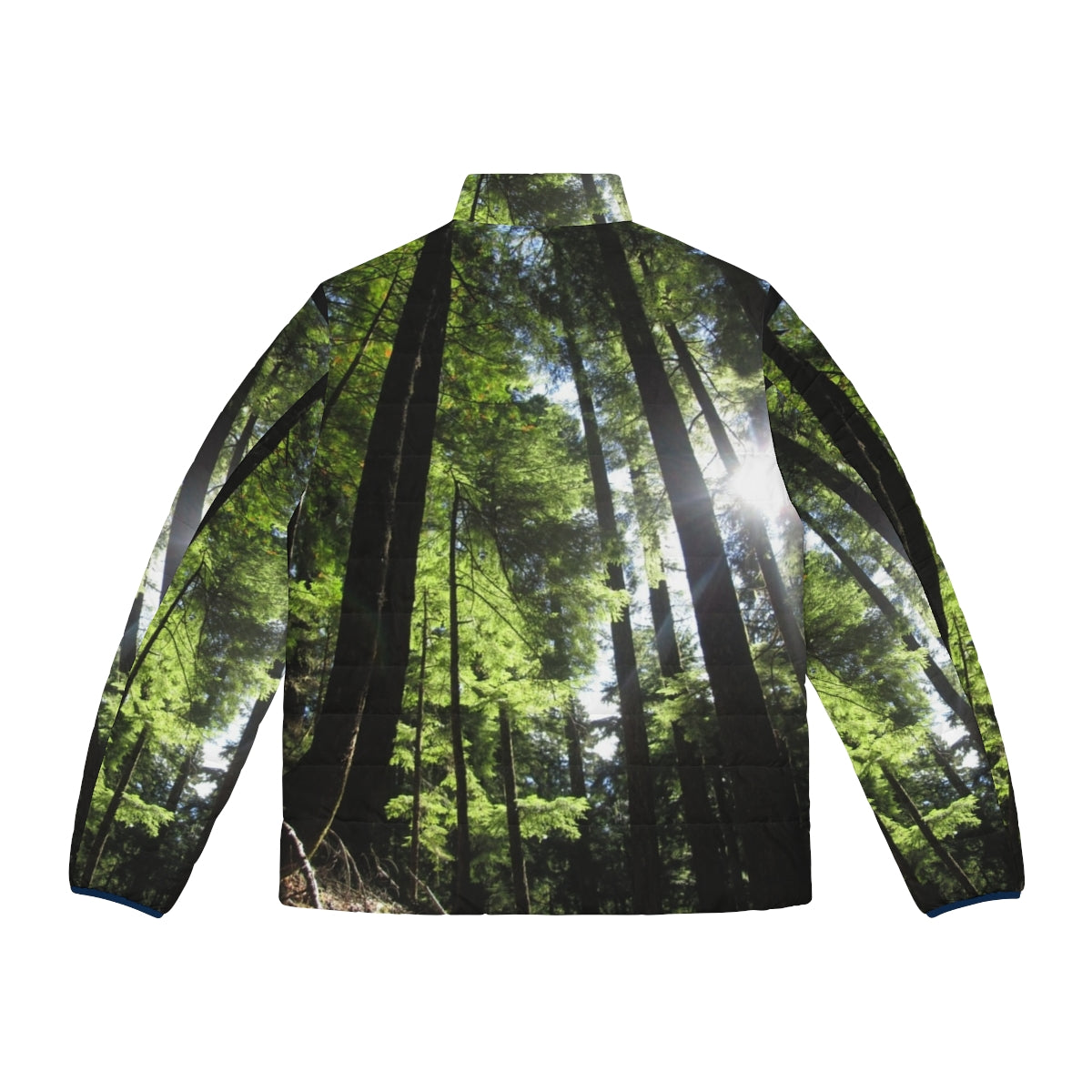 Puffer jacket with a print of sunlit fir trees in a forest - Back