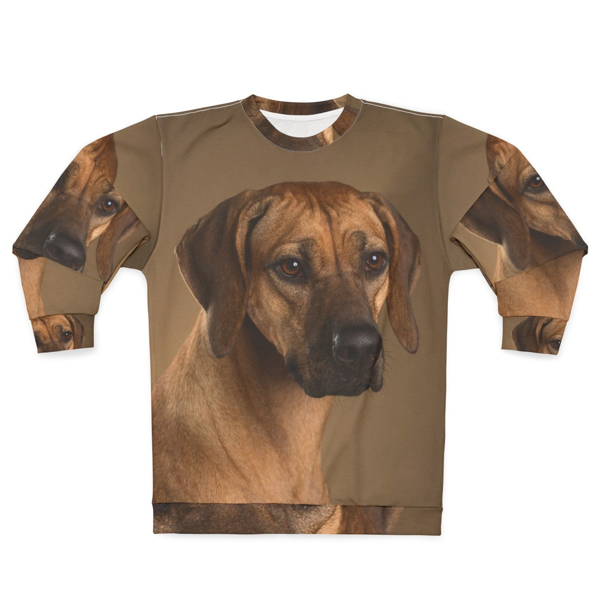 Rhodesian Ridgeback dog portrait with soulful eyes