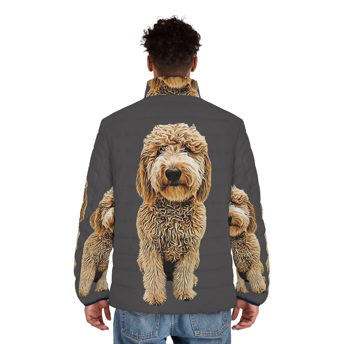 Goldendoodle and Labradoodle wearing a puffer jacket - men back