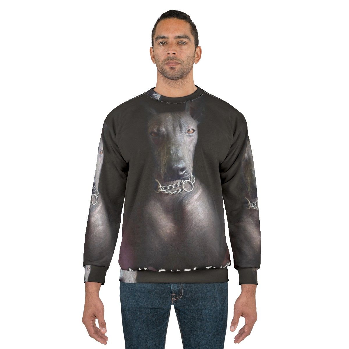 Xoloitzcuintle dog on a smiling sweatshirt - men