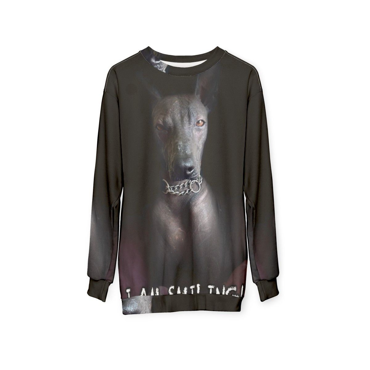 Xoloitzcuintle dog on a smiling sweatshirt - hanging