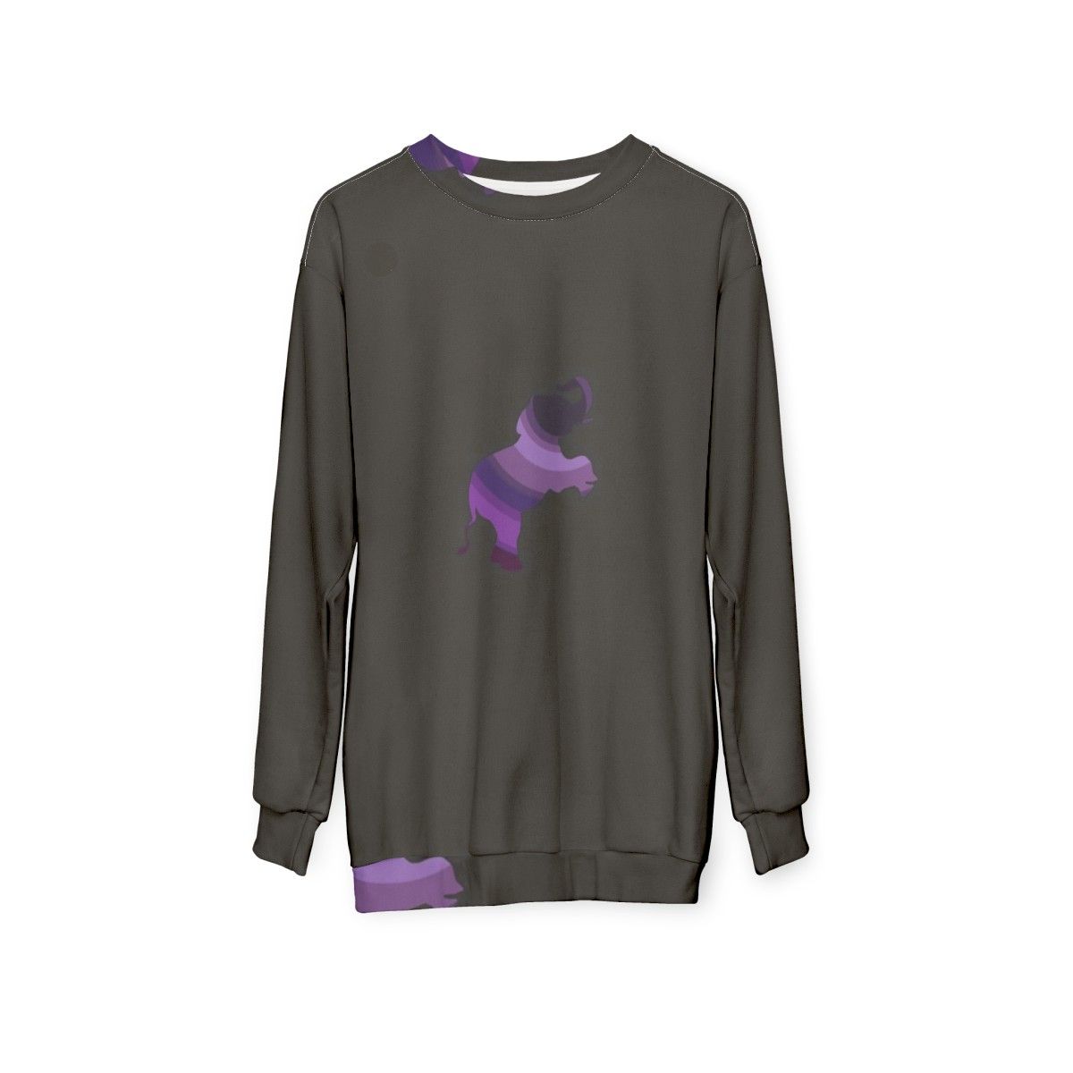 Colorful elephant legendary animals sweatshirt design - hanging