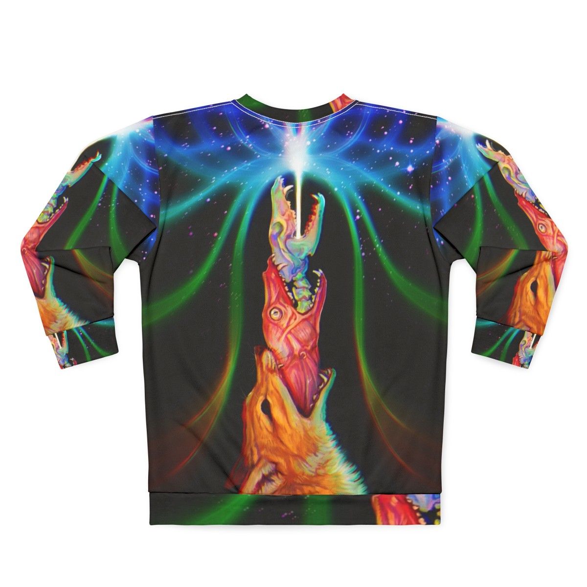 Psychedelic sweatshirt with nature and occult imagery - Back