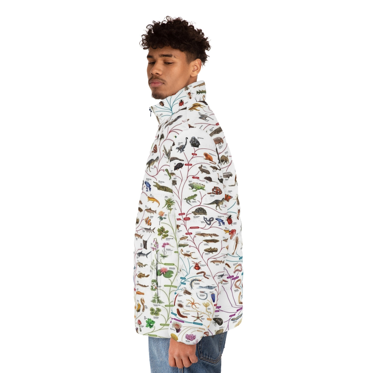 Puffer jacket featuring a design of the Darwinian tree of life representing evolution and biodiversity - men side left