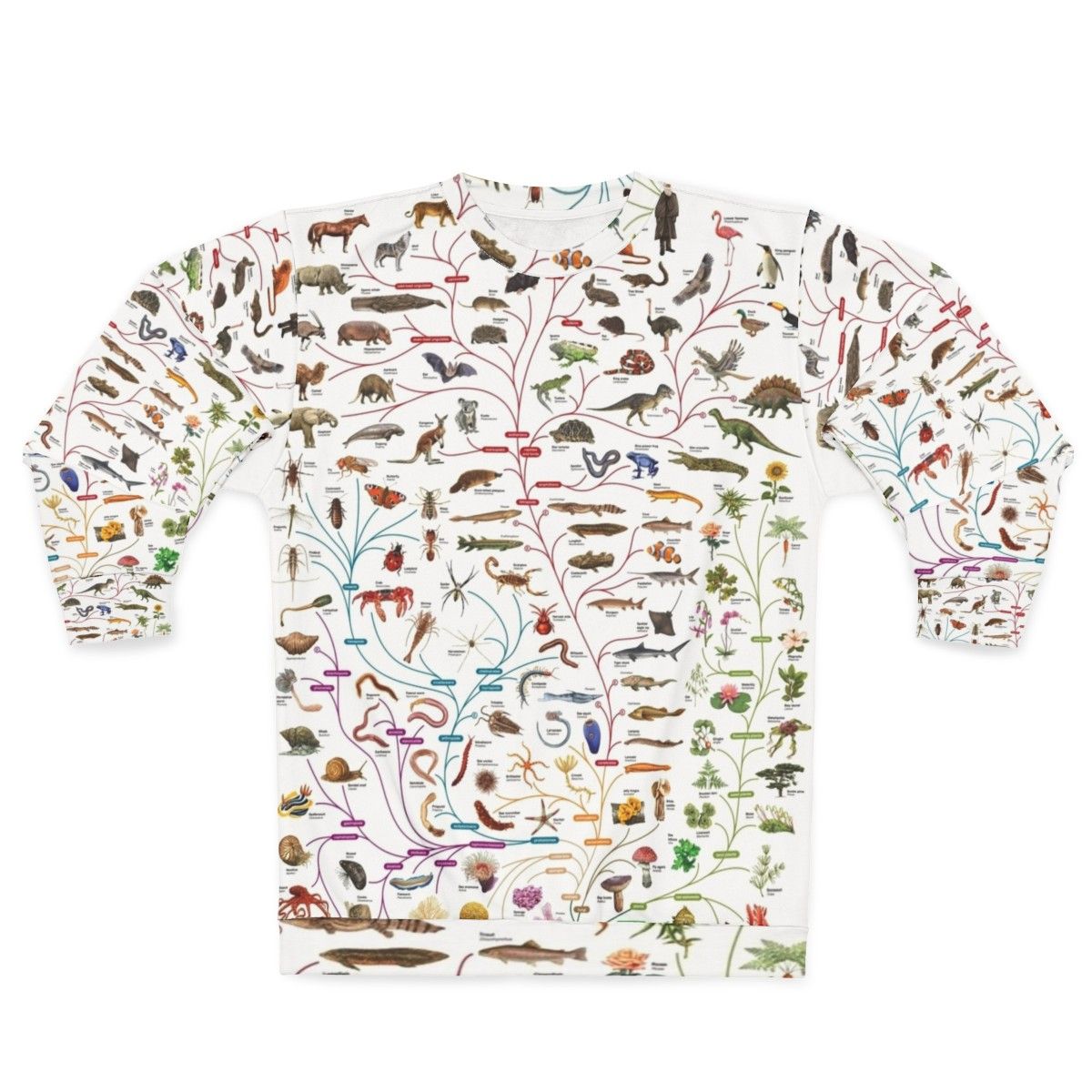 Darwinian Evolution Tree of Life Sweatshirt