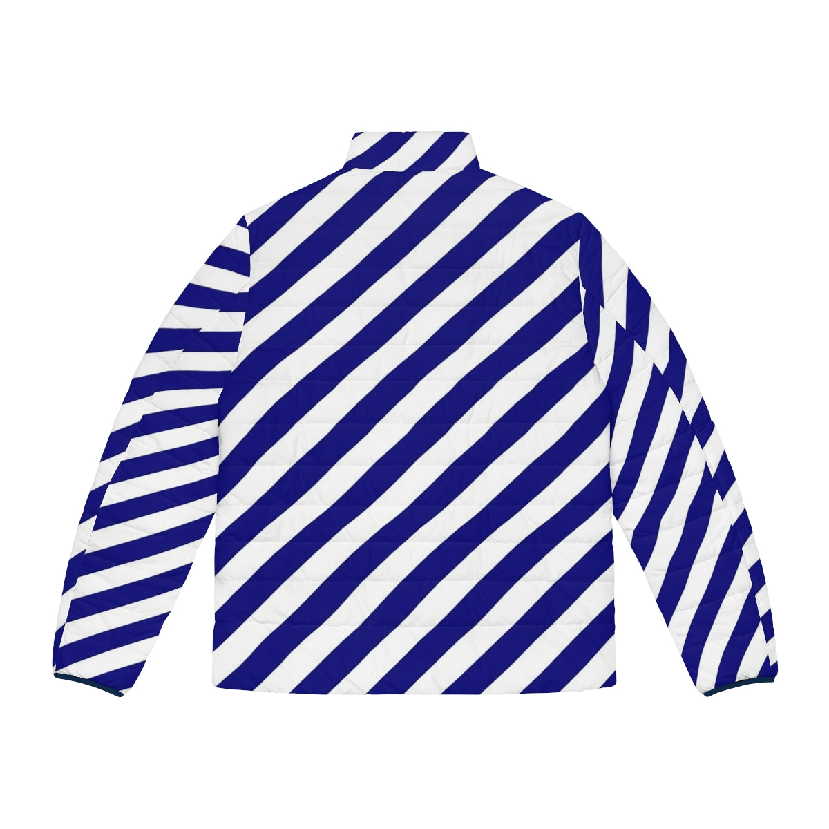 Blue and white diagonal stripe puffer jacket - Back