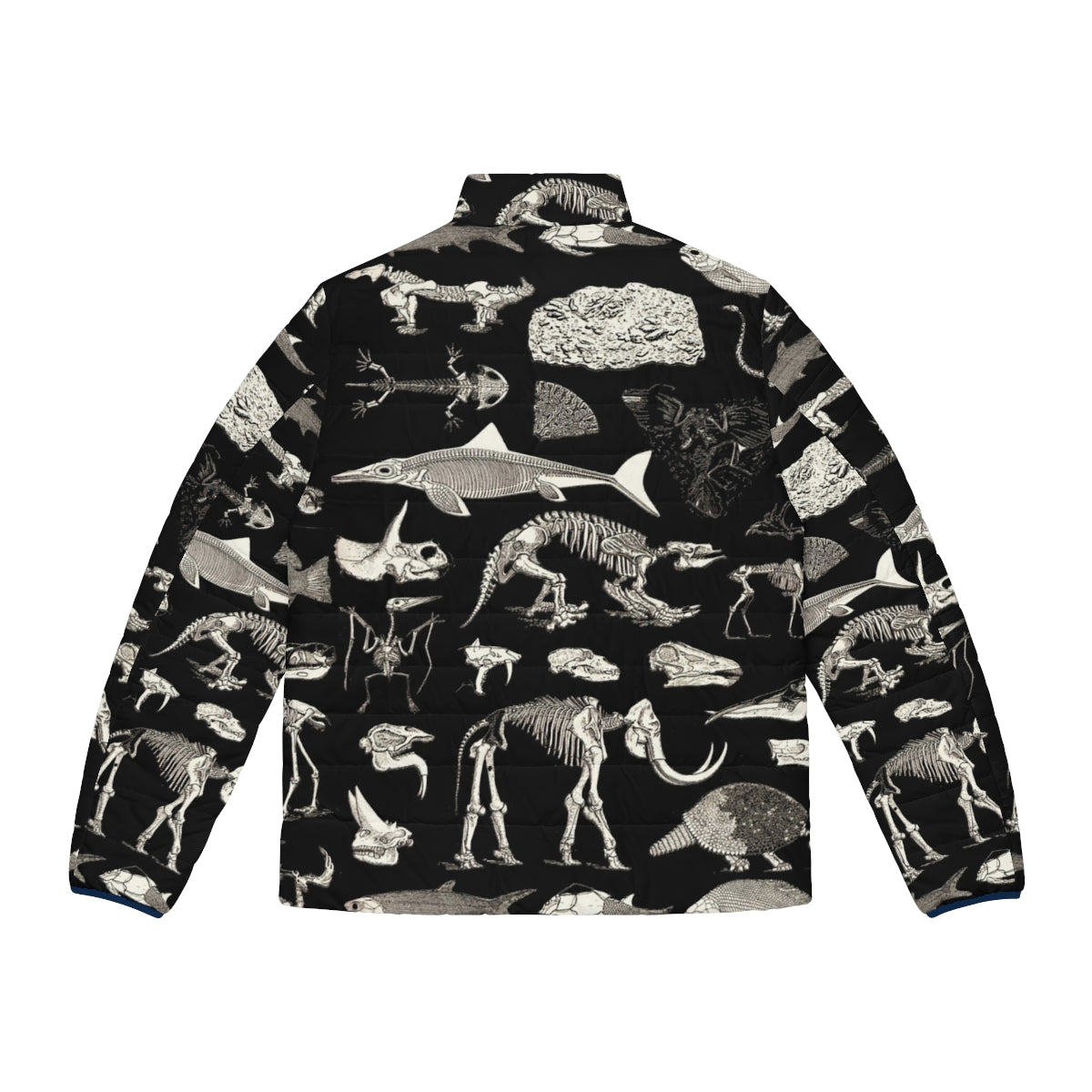 Paleontology puffer jacket featuring fossil illustrations - Back