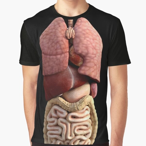 Anatomical 3D graphic design featuring the internal organs of the human body - heart, liver, pancreas, etc.