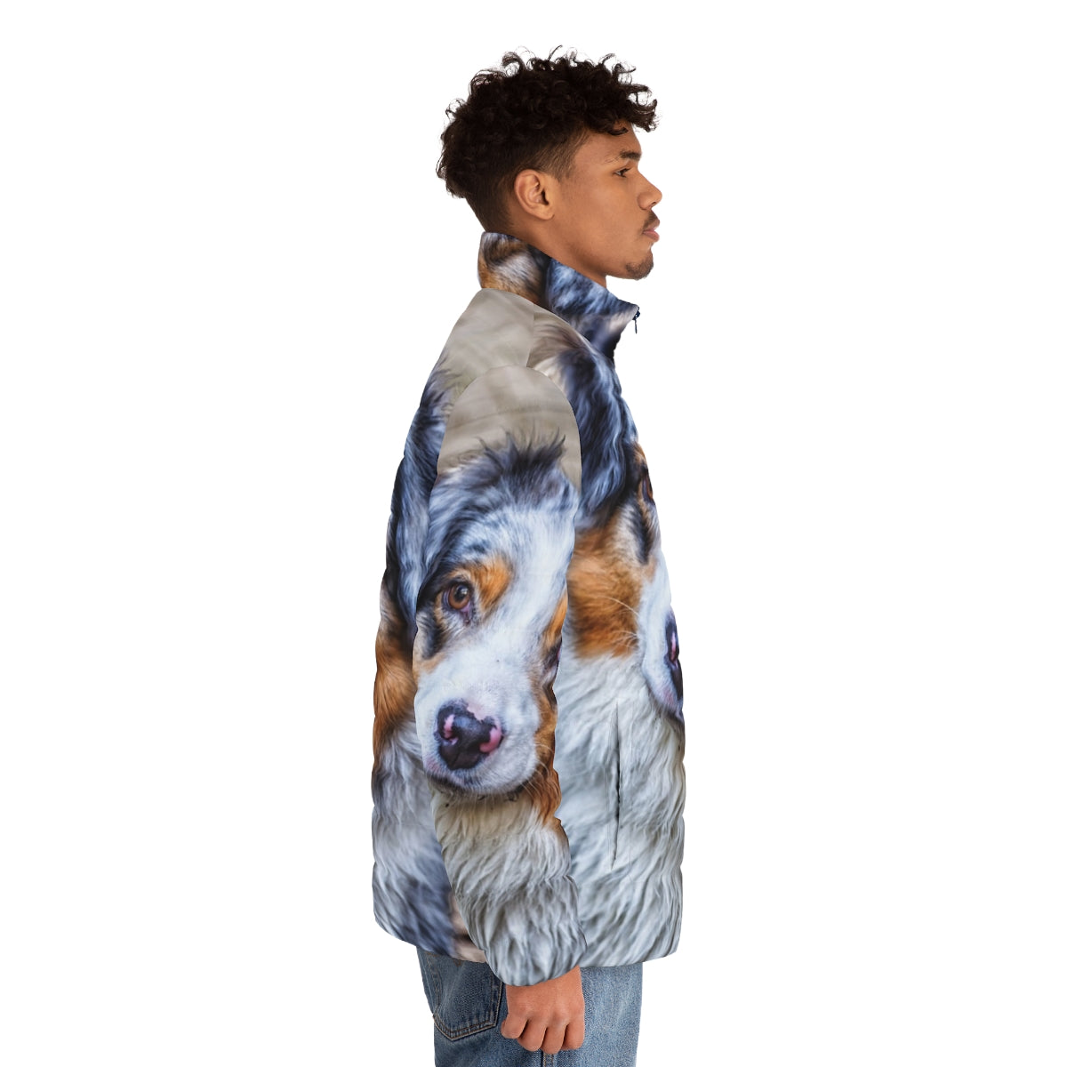 Australian Shepherd dog wearing a puffer jacket in blue and brown colors - men side right