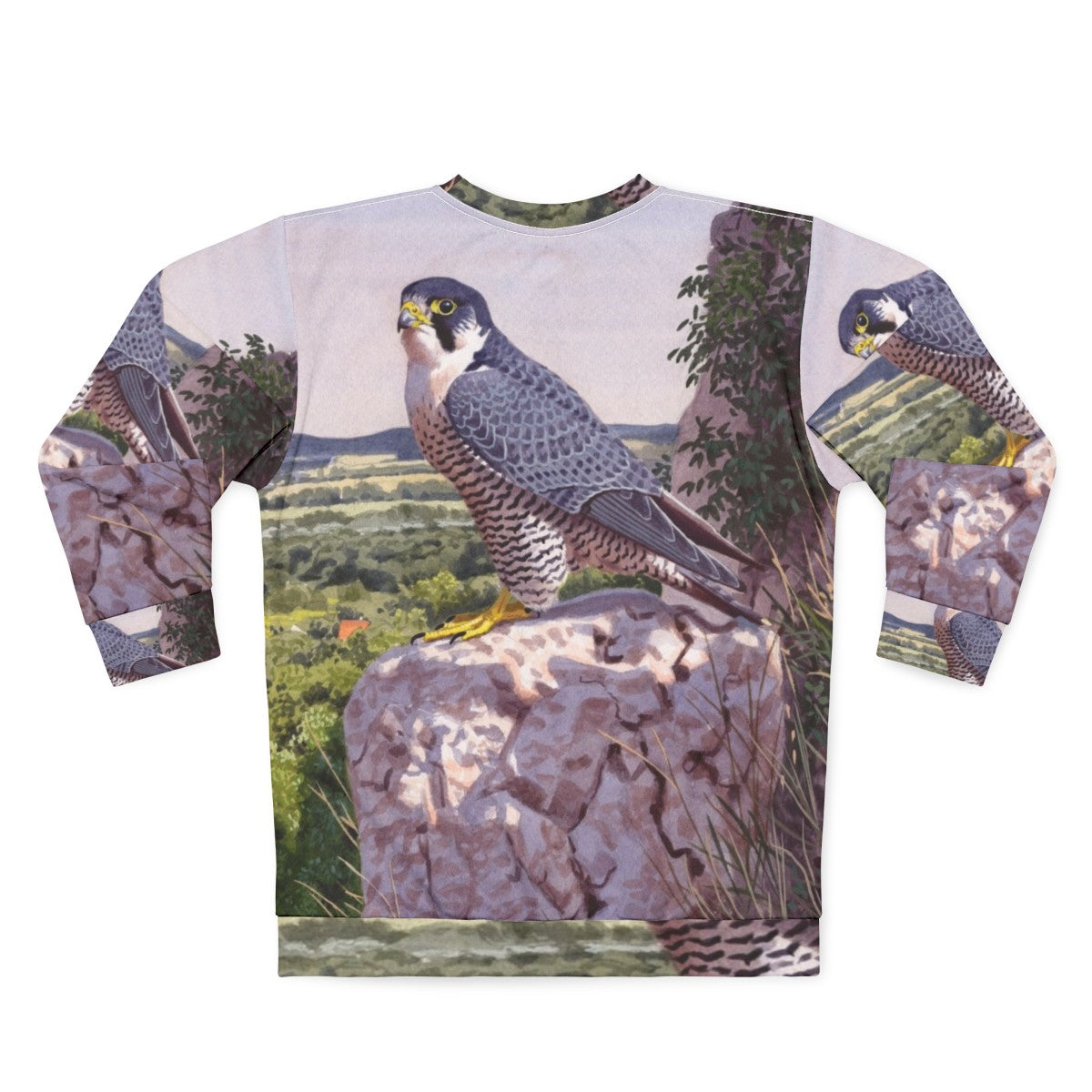 Peregrine falcon inspired sweatshirt with bird art - Back